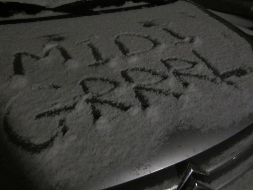 midi-grrrl vienna berlin winter art writing snow logo